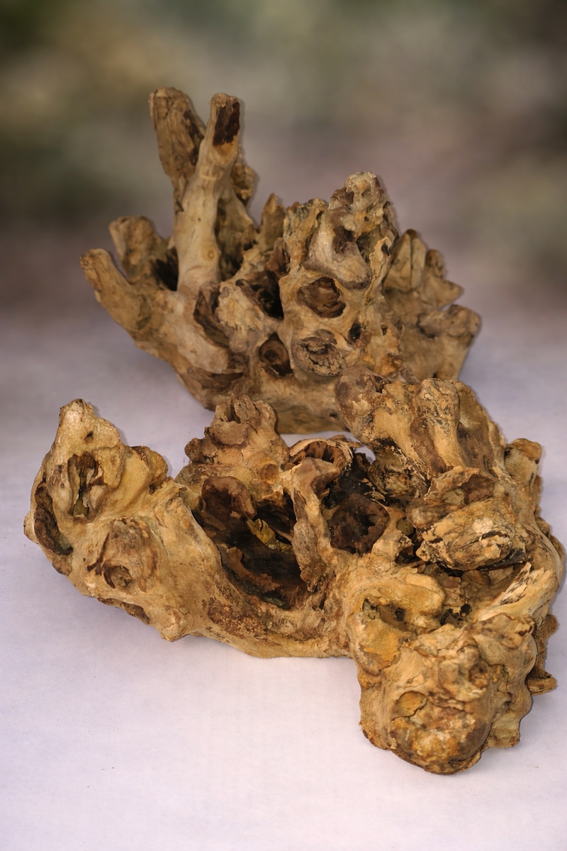 Driftwood