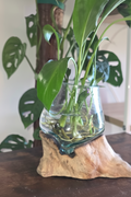 Small Slump Vase on driftwood Tall style