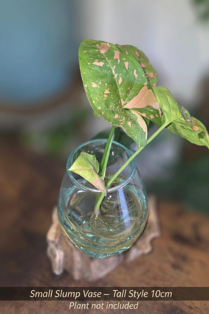Small Slump Vase on driftwood Tall style