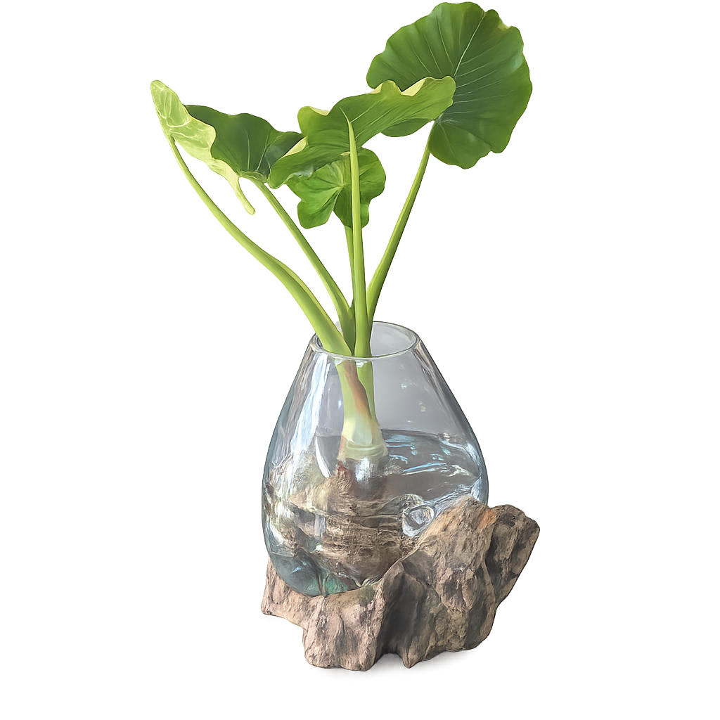 Large Slump Vase on Driftwood