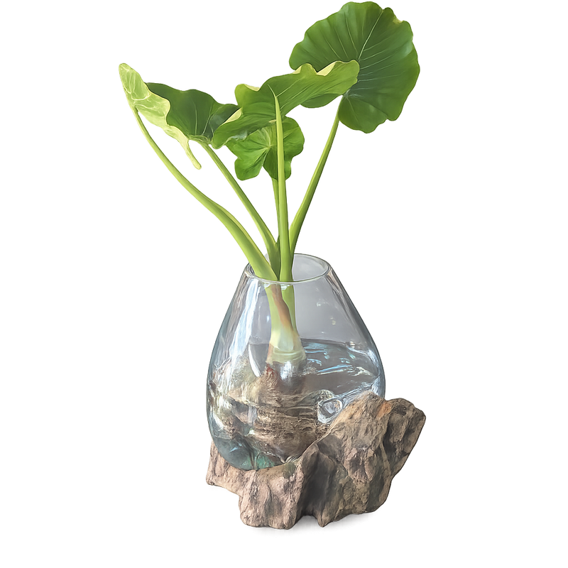 Large Slump Vase on Driftwood